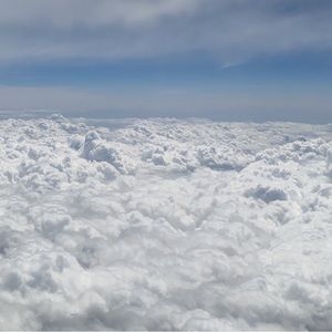 Meet your Posher, Reed